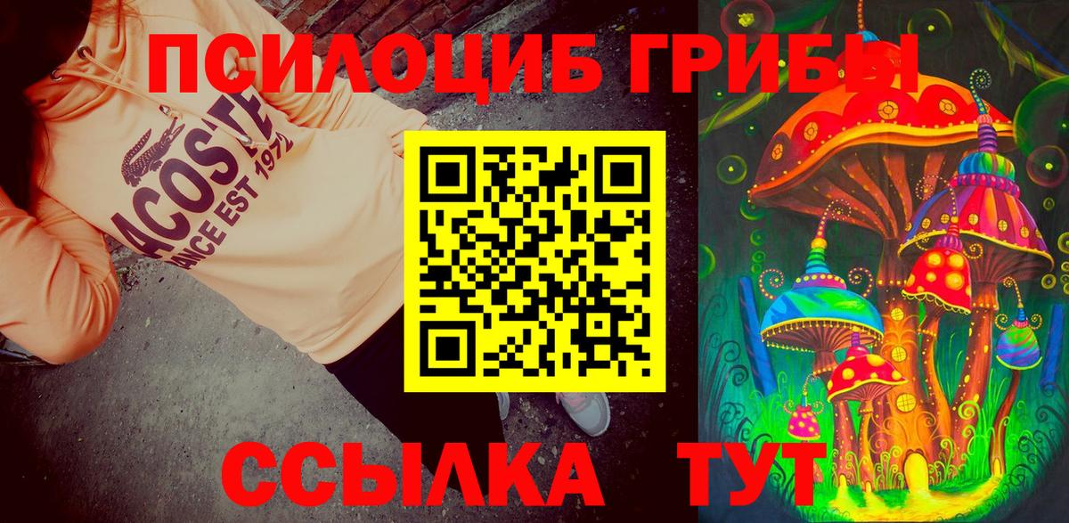 Псилоцибиновые грибы Psilocybe  Вход с VPN  наркошоп  Галлюциногенные грибы мухоморы  Чебаркуль 